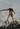 Frau macht Handstand auf Parallelbarren bei Sonnenuntergang – 30 Tage Calisthenics Challenge im Park
